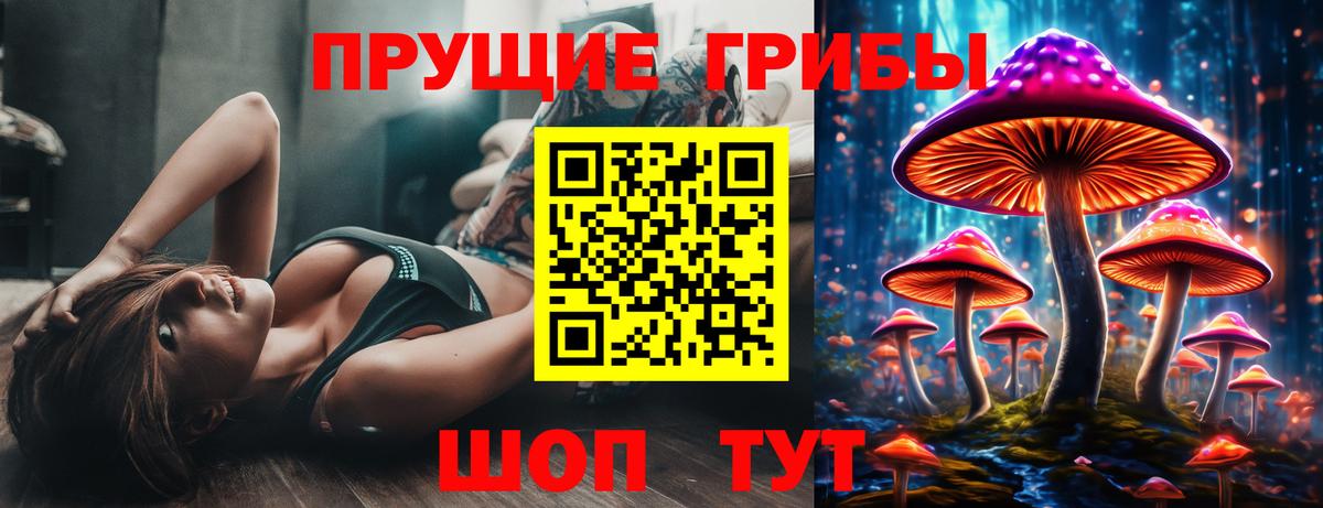 Каменка  купить наркотики сайты  Вход с VPN  Псилоцибиновые грибы мухоморы 
