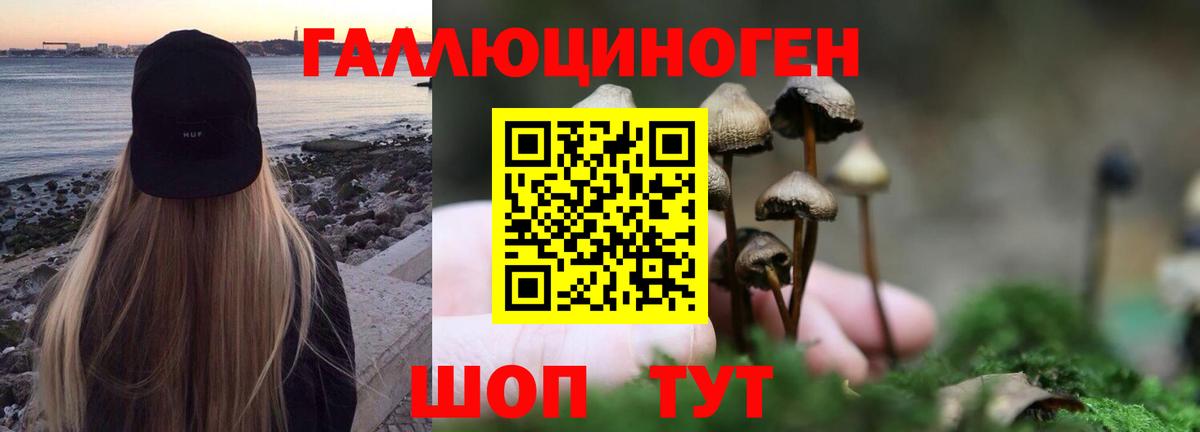 Галлюциногенные грибы GOLDEN TEACHER Каменка